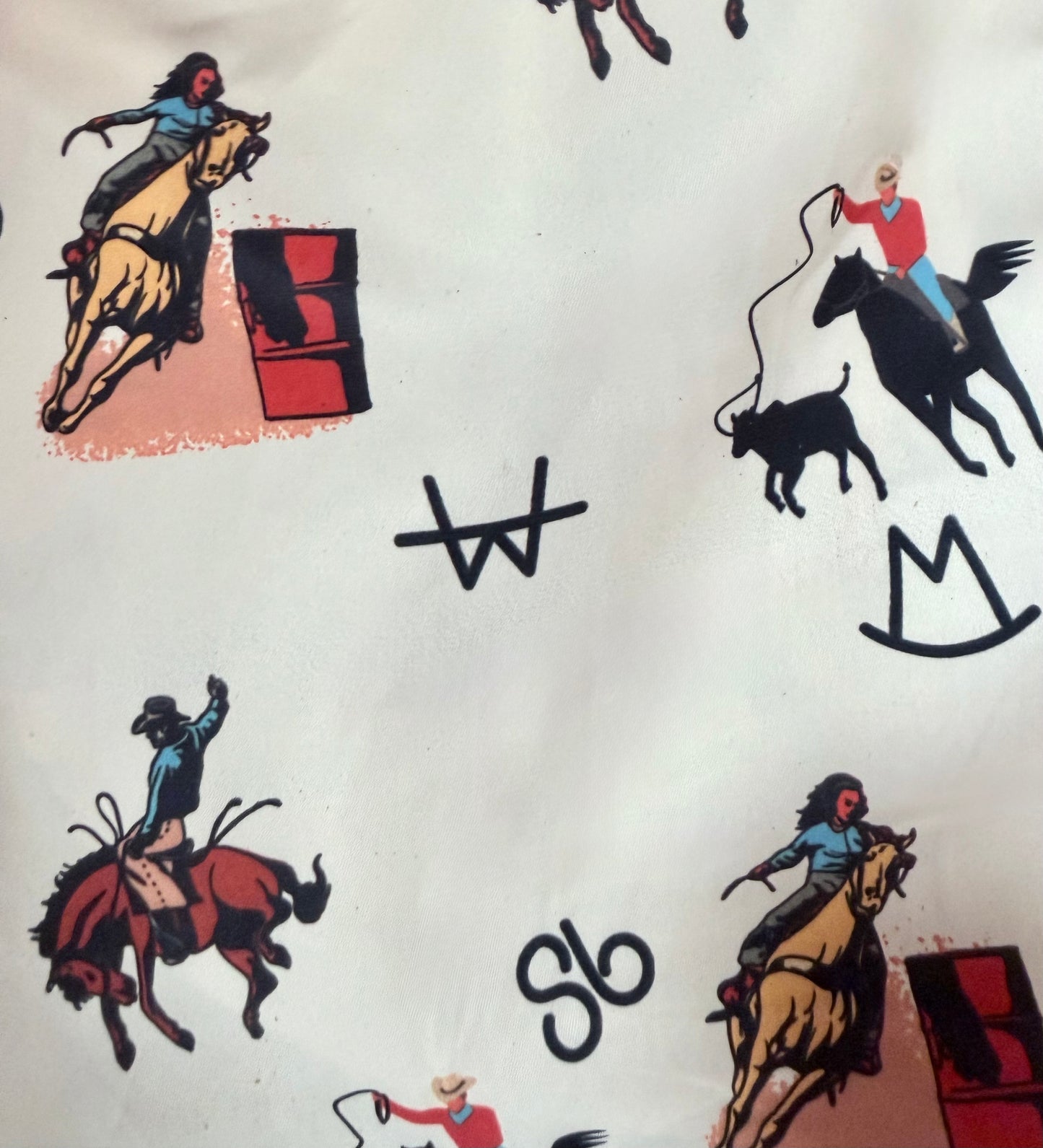 Vintage Rodeo Shorts